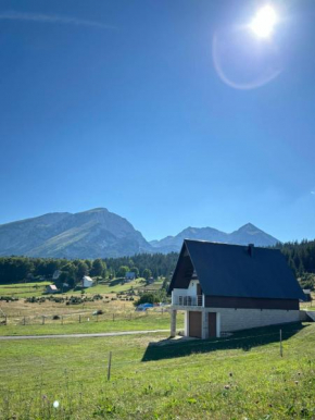 Village Moticki Gaj